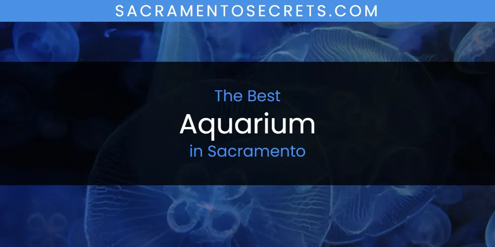 Sacramento's Best Aquarium [Updated 2025]