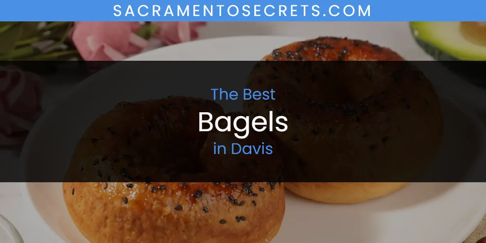 The Absolute Best Bagels in Davis  [Updated 2025]