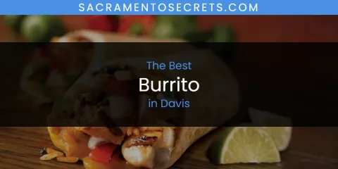 The Absolute Best Burrito in Davis