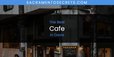 The Absolute Best Cafe in Davis