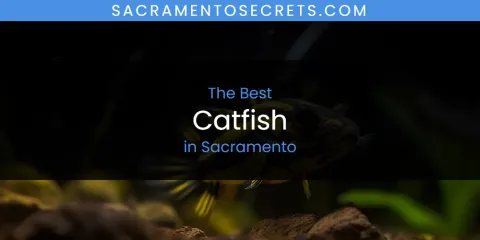 Sacramento's Best Catfish