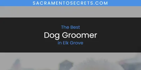 The Absolute Best Dog Groomer in Elk Grove