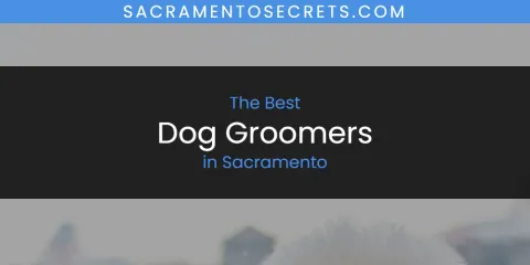 The Best Dog Groomers in Sacramento