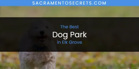 The Absolute Best Dog Park in Elk Grove