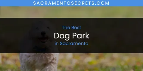 Discover the Best Dog Park in Sacramento