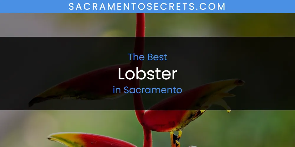 Sacramento's Best Lobster [Updated 2025]