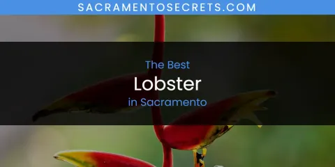 Best Lobster in Sacramento: Our Expert Picks