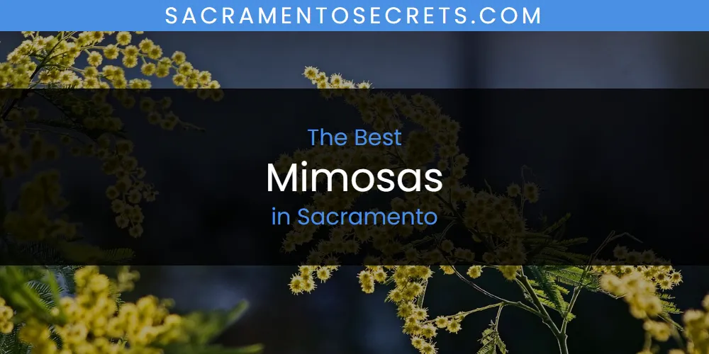 Sacramento's Best Mimosas [Updated 2025]