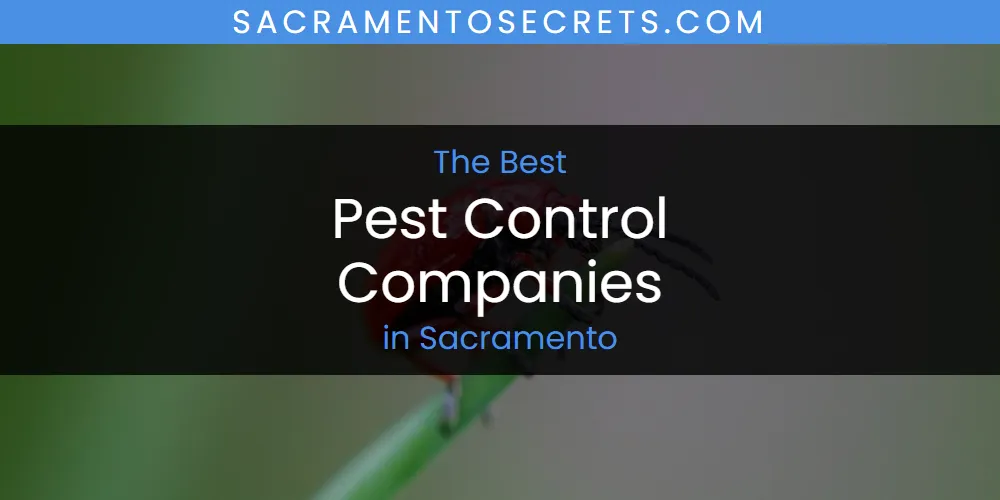 Sacramento's Best Pest Control Companies [Updated 2025]