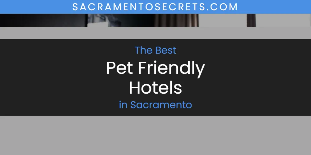 Sacramento's Best Pet Friendly Hotels [Updated 2025]