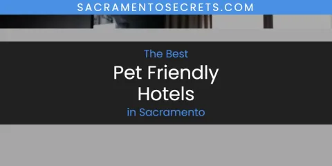 The Best Pet Friendly Hotels in Sacramento List