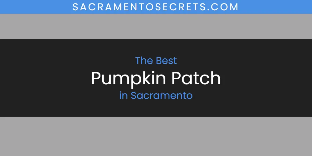 The Top-Rated Pumpkin Patch in Sacramento for 2026
