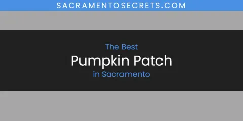 The Top-Rated Pumpkin Patch in Sacramento